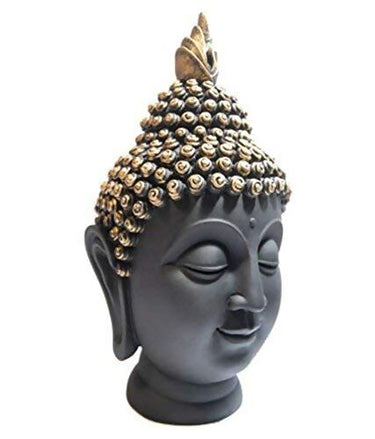 https://cdn.shopify.com/s/files/1/1857/6931/files/uyhSsltbT9-427917.jpg?v=1736141453